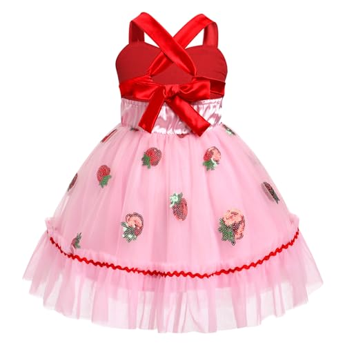 OBEEII Toddler Princess Tutu Dress with Heart Print & Mesh Back Less